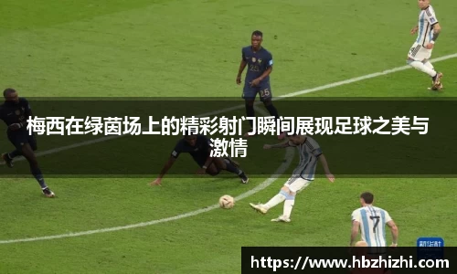 伟德bv国际体育